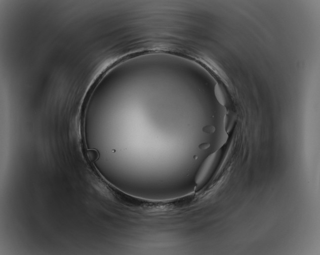 X0000088460891200705221340