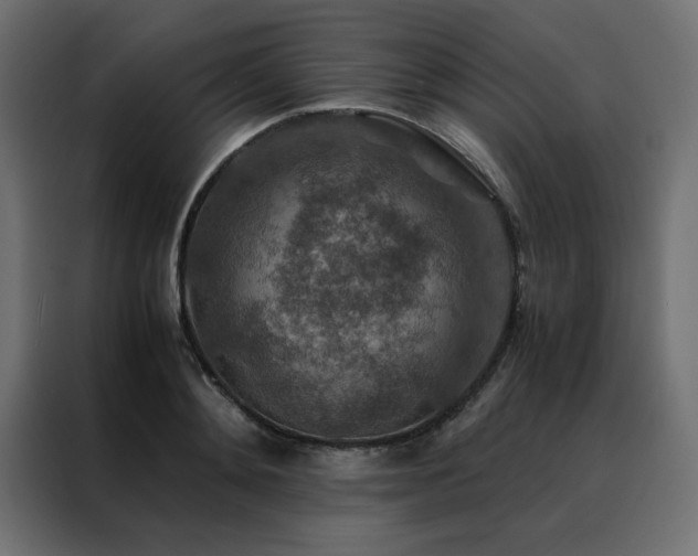 X0000088460892200705221340