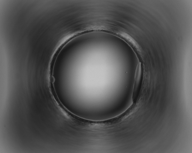 X0000088460894200705221340