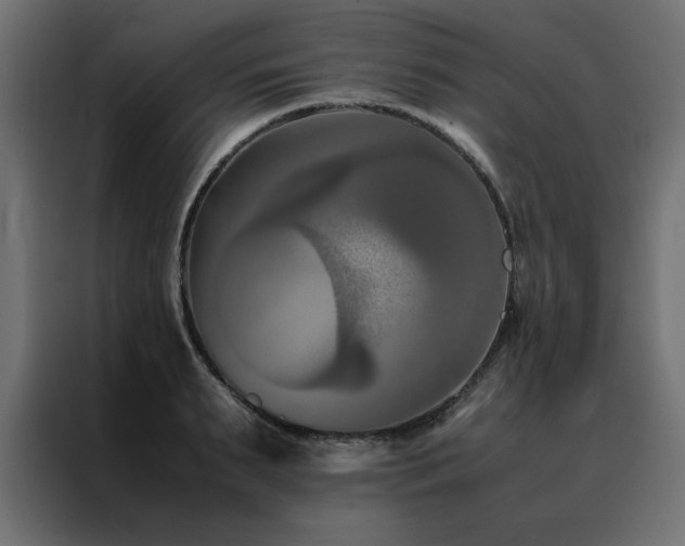 X0000088460895200705221340