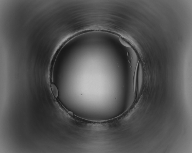 X0000088460896200705221340