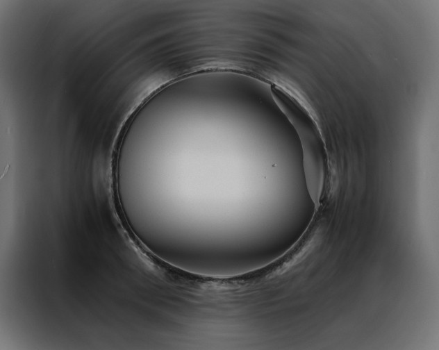 X0000088460898200705221340