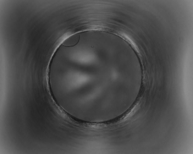 X0000088460899200705221340