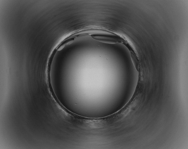 X0000088460902200705221340