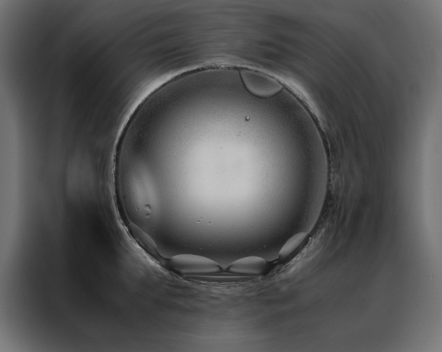 X0000088460903200705221340