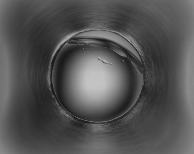 X0000088460904200705221340