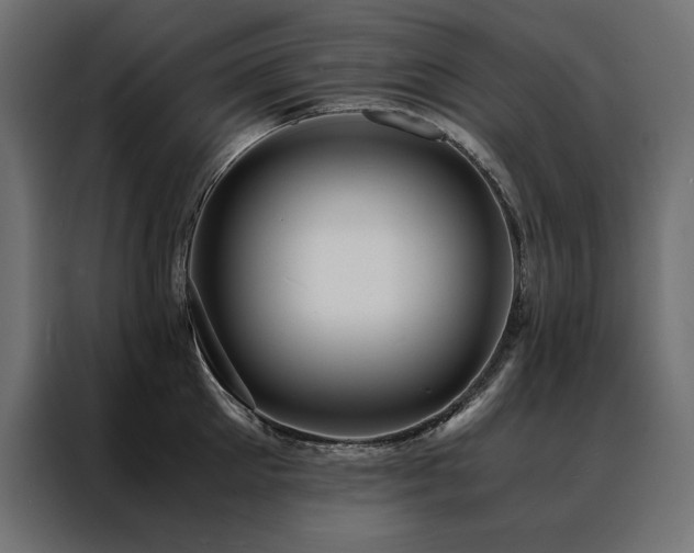 X0000088460905200705221340