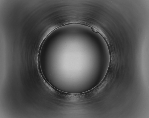 X0000088460906200705221340