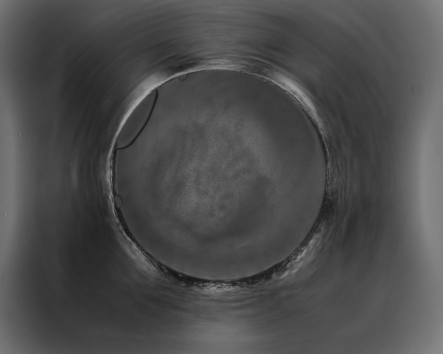 X0000088460907200705221340