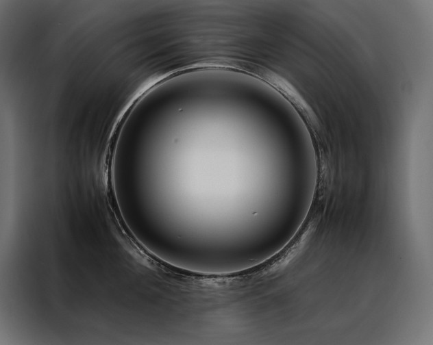 X0000088460908200705221340