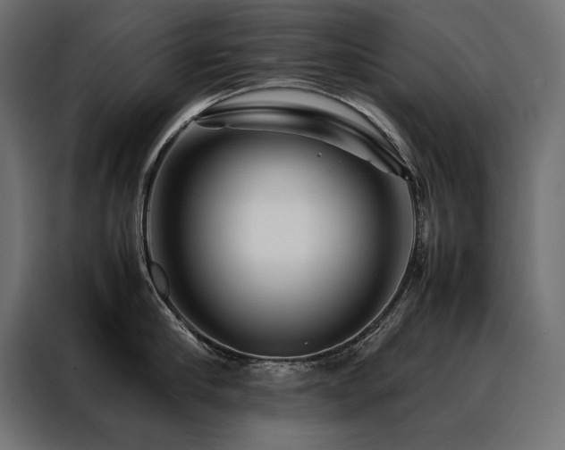 X0000088460910200705221340