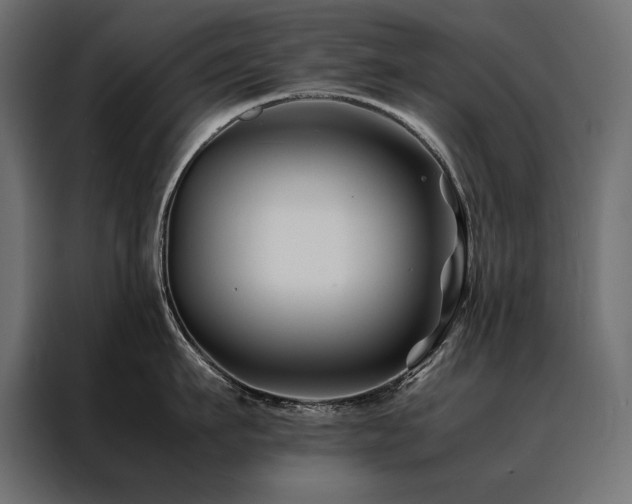 X0000088460911200705221340