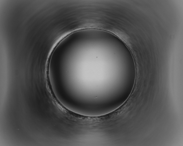 X0000088460912200705221340