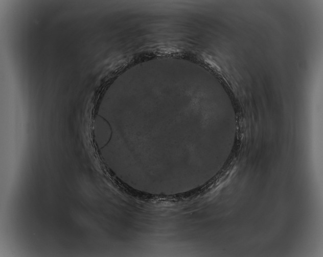 X0000088460913200705221339