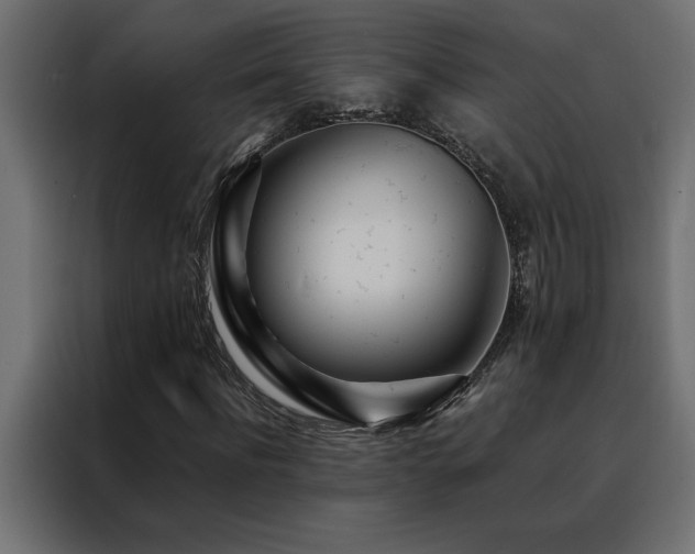 X0000088460916200705221339