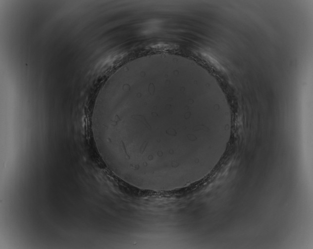 X0000088460917200705221339