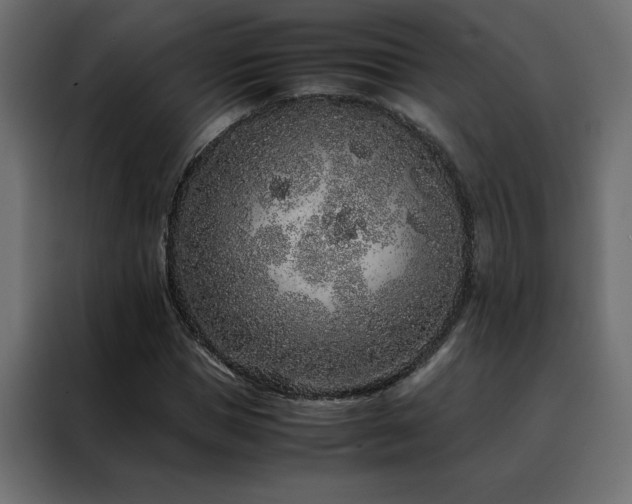 X0000088460921200705221339