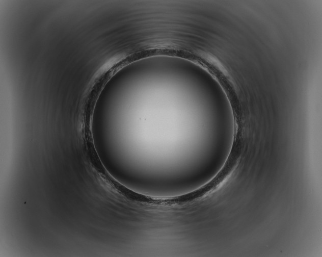 X0000088460922200705221339