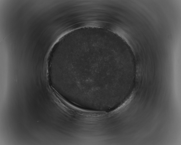 X0000088460923200705221339
