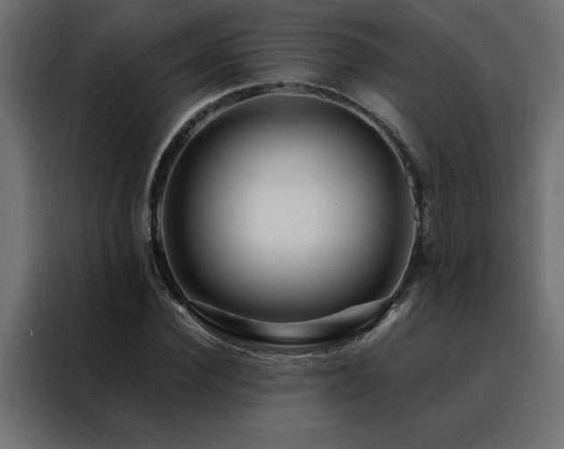 X0000088460924200705221339