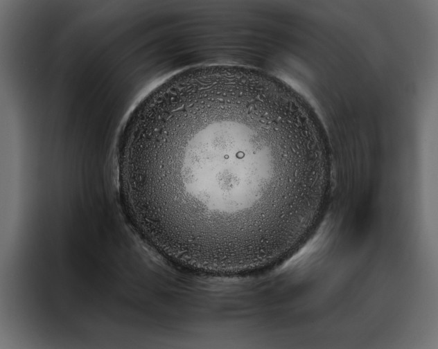 X0000088460925200705221339
