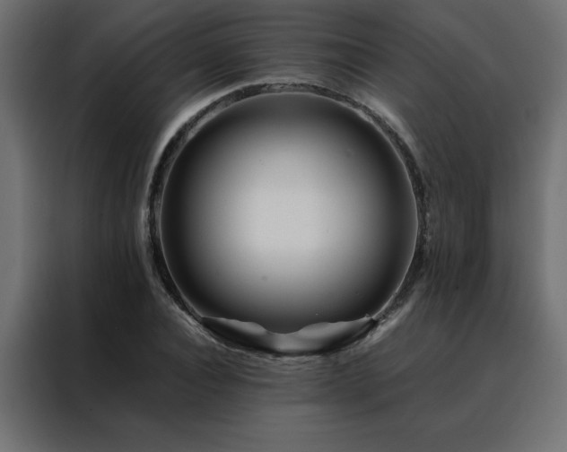 X0000088460928200705221339