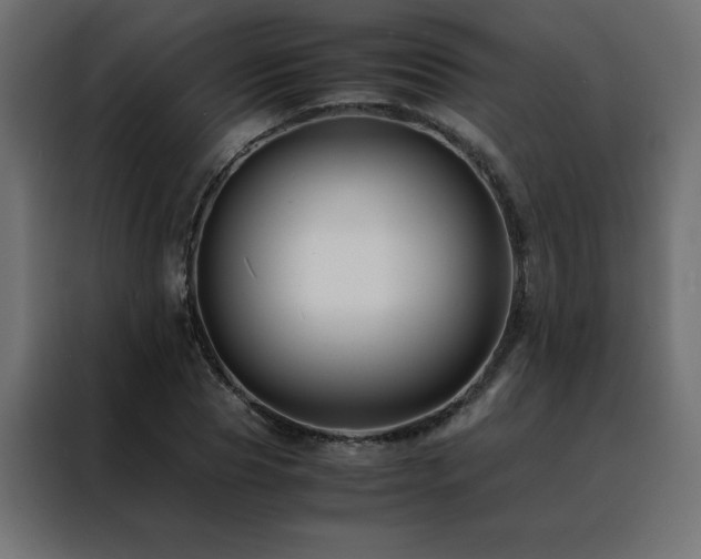 X0000088460929200705221339