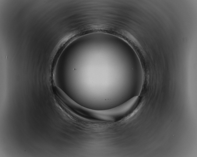 X0000088460930200705221339