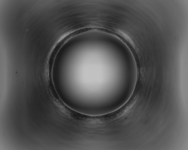 X0000088460931200705221339