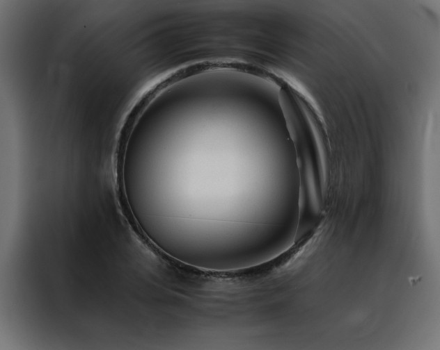 X0000088460935200705221339