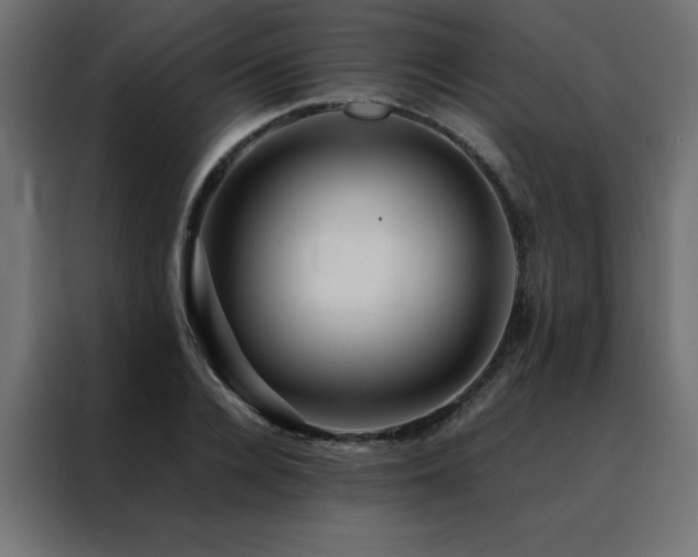 X0000088460936200705221339