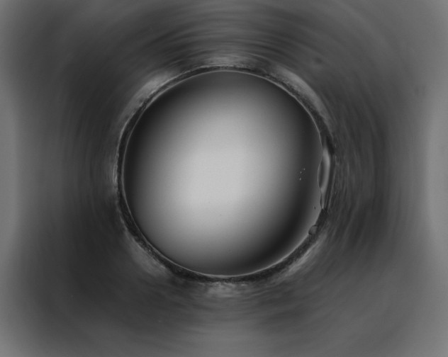 X0000088460938200705221340