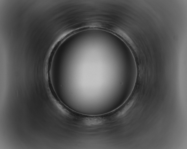 X0000088460939200705221340