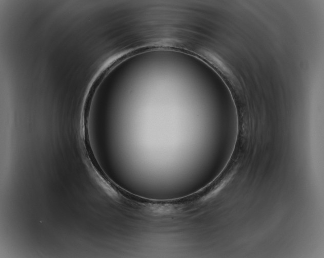 X0000088460940200705221340