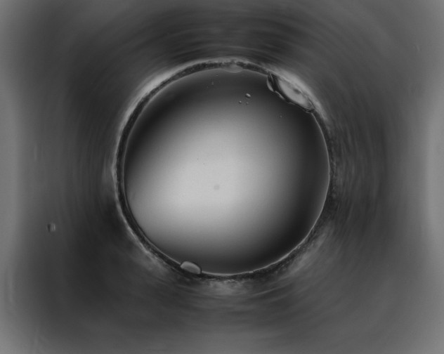 X0000088460943200705221340