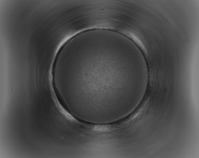 X0000088460944200705221340