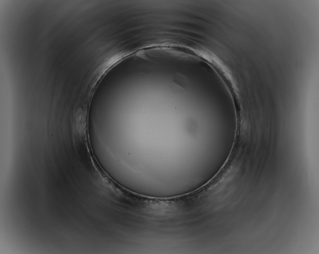 X0000088460945200705221340