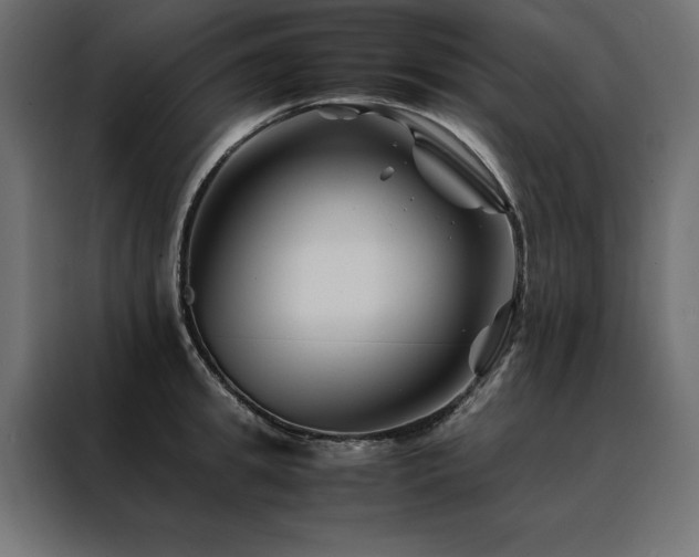 X0000088460949200705221340