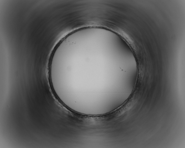 X0000088460950200705221340