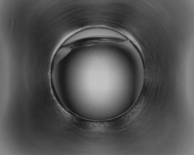 X0000088460951200705221340