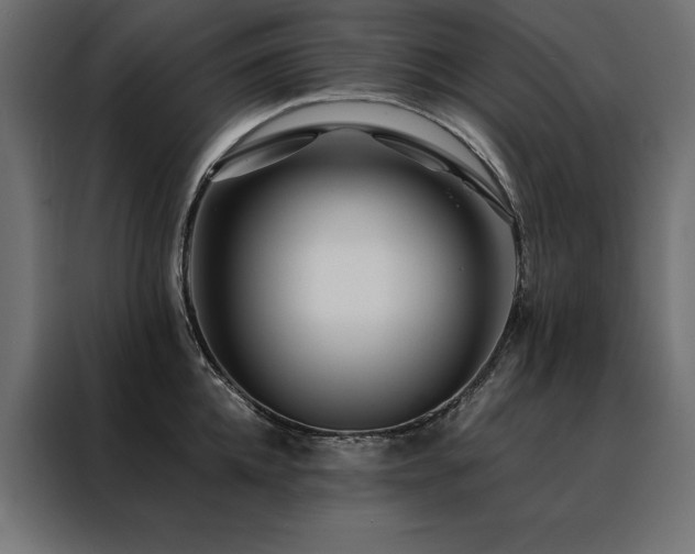 X0000088460952200705221340