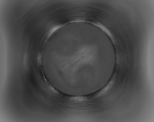 X0000088460953200705221340