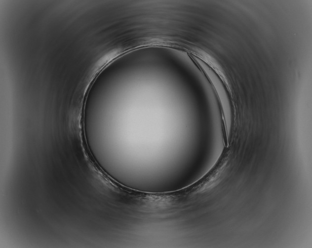 X0000088460954200705221340