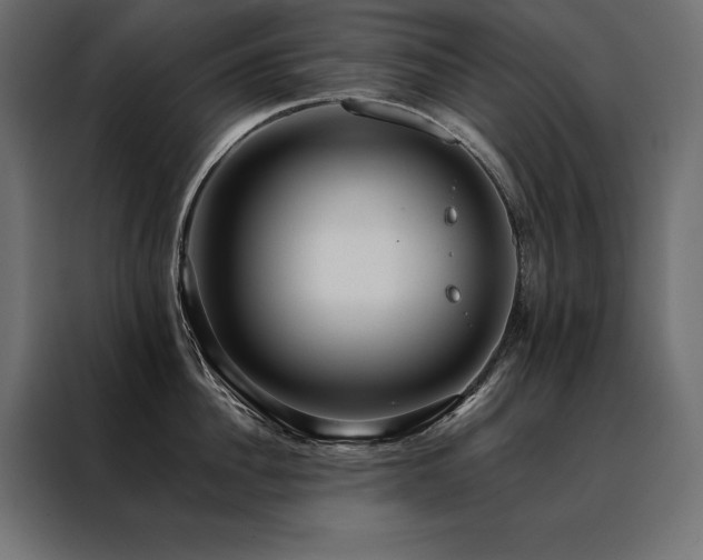X0000088460956200705221340