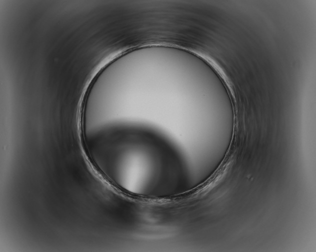 X0000088460957200705221340