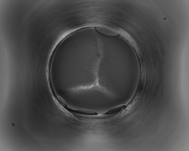 X0000088460958200705221340