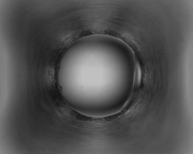 X0000088460964200705221339