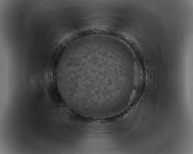 X0000088460966200705221339