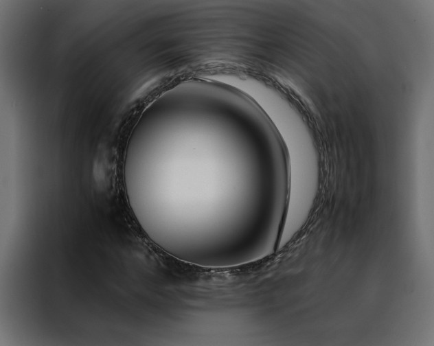 X0000088460968200705221339