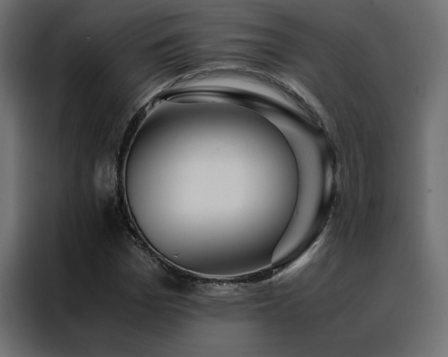 X0000088460969200705221339